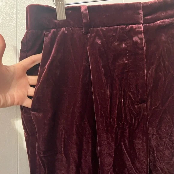 Pleated Tapered Pants in Velvet
Size 12 burgundy
Loft brand - Picture 3 of 8